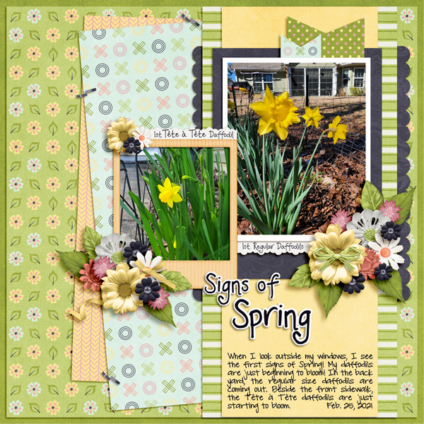 Signs of Spring