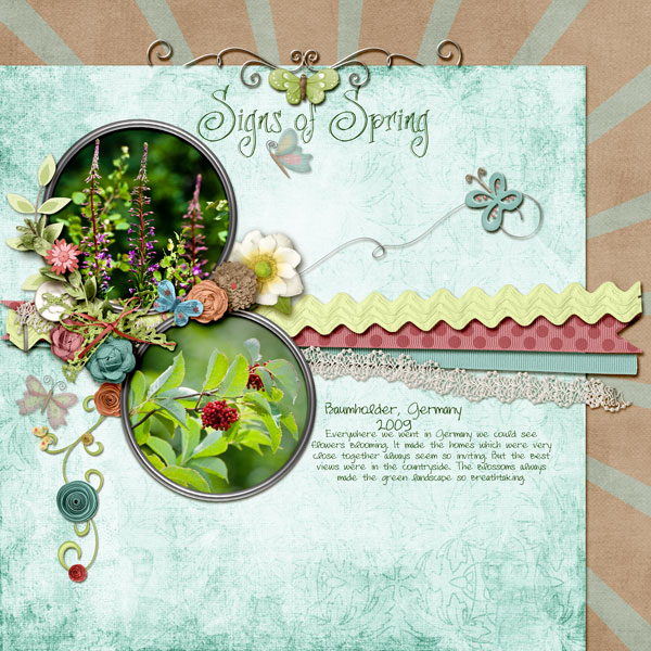 Signs of Spring
