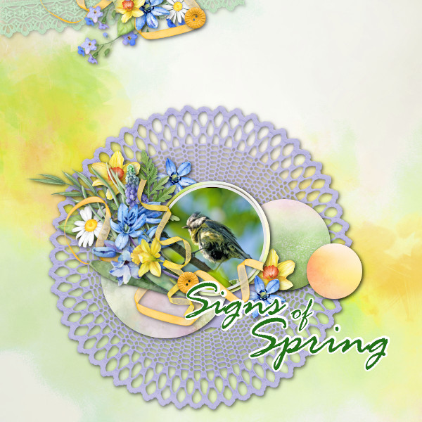 Signs Of Spring
