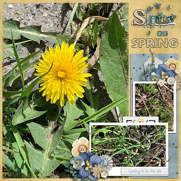 Signs of Spring