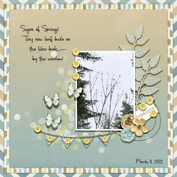 SIGNS OF SPRING
