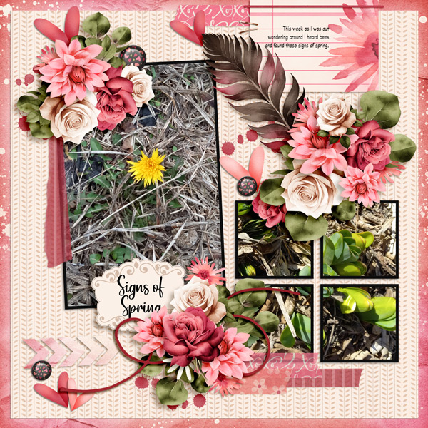 Signs of Spring