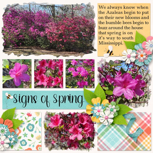 Signs of Spring