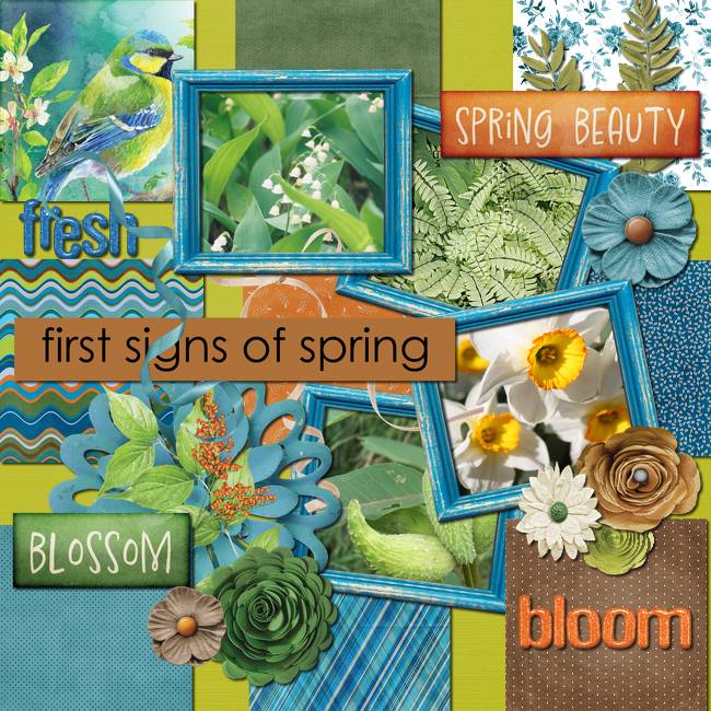Signs of Spring