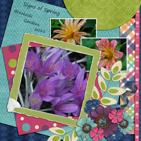 Signs of Spring