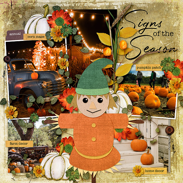 Signs of the Season
