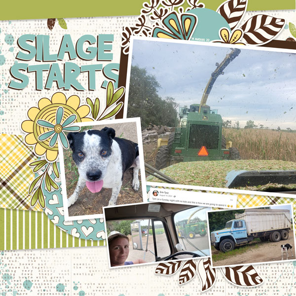 Silage Starts