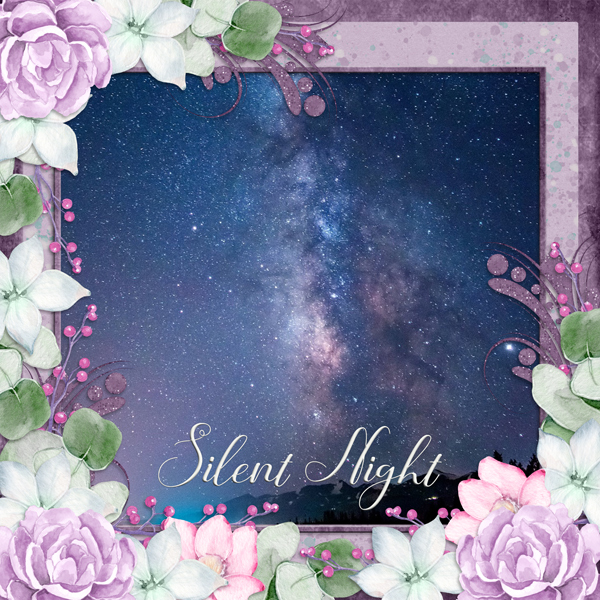 Silent night ...