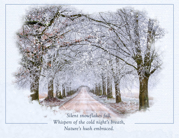 Silent Snowflakes
