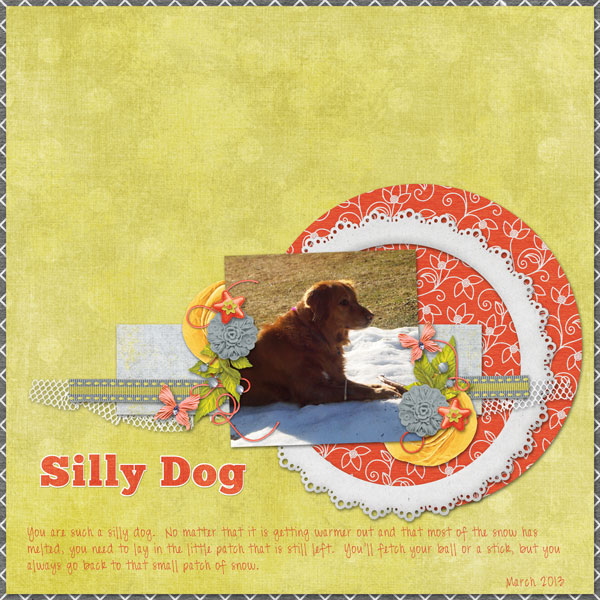 Silly Dog