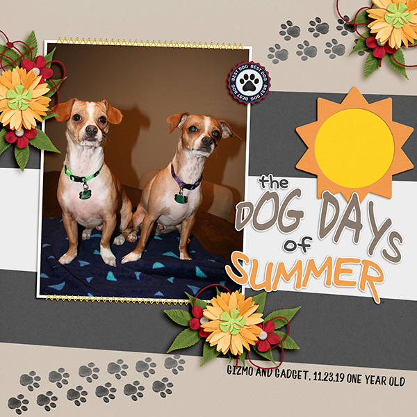 Silly Doggies