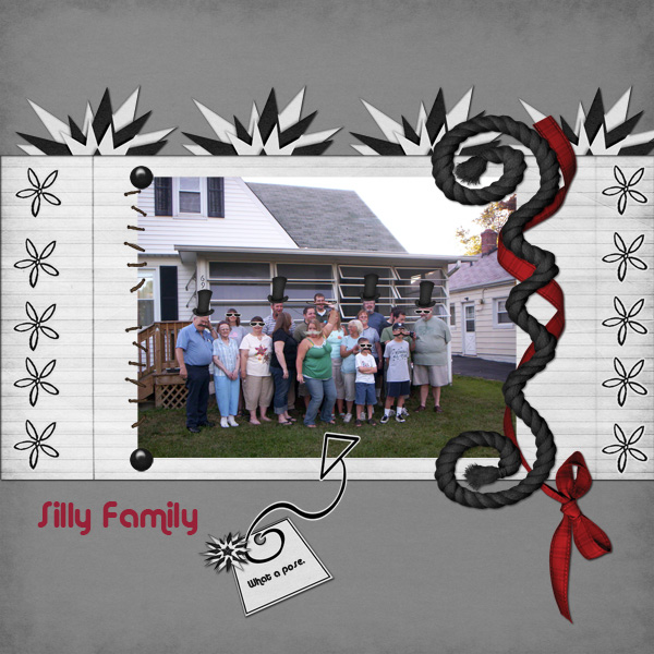 Silly Family