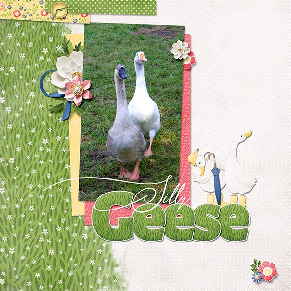 Silly geese