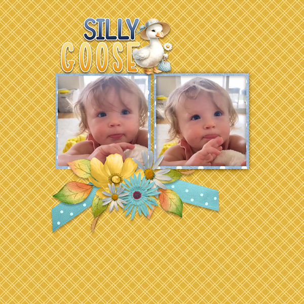 Silly Goose-ScrapbookCrazy