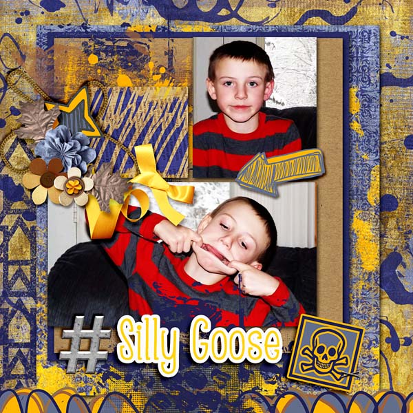 Silly Goose
