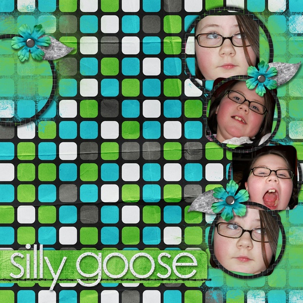 Silly Goose