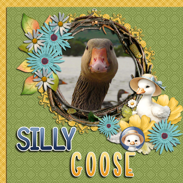 Silly Goose