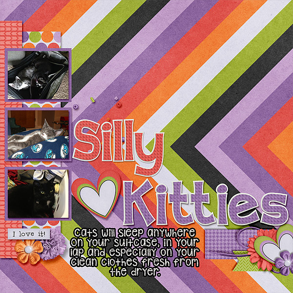 Silly Kitties
