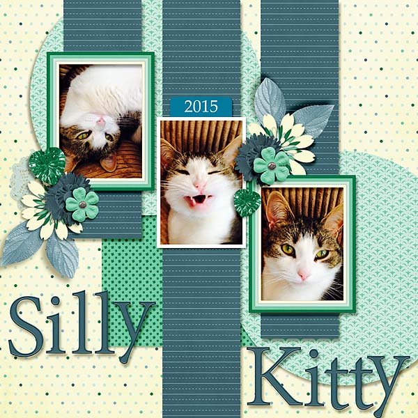 Silly Kitty