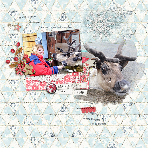 silly reindeer