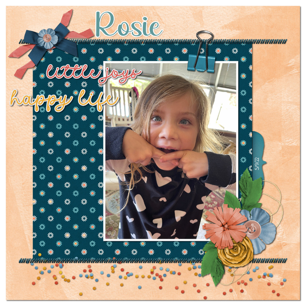 Silly Rosie 5-9-22