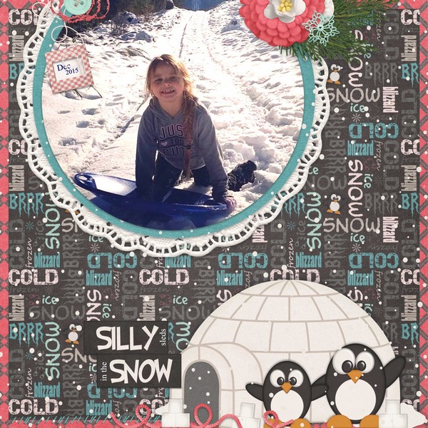 Silly Sleds