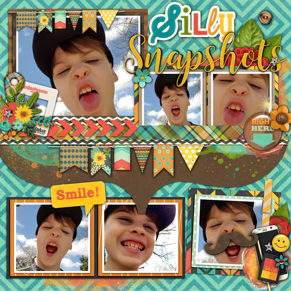 Silly Snapshots
