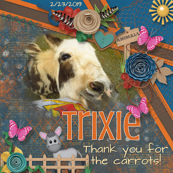 Silly Trixie!
