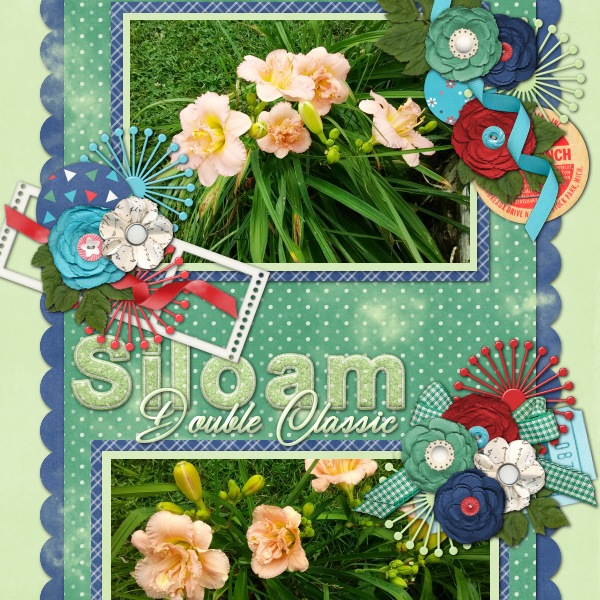 Siloam Double Classic