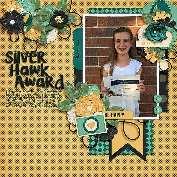Silver Hawk Award