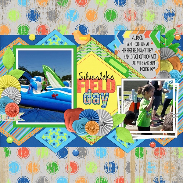 Silverlake Field Day