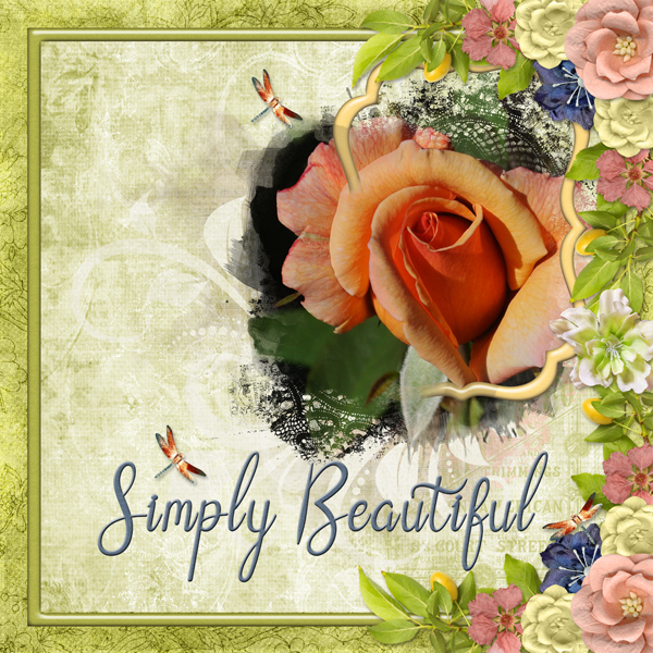 Simple Beautiful