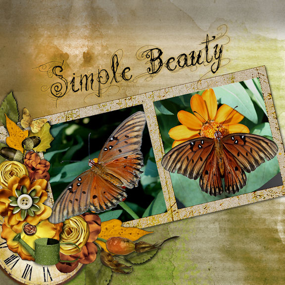 Simple Beauty