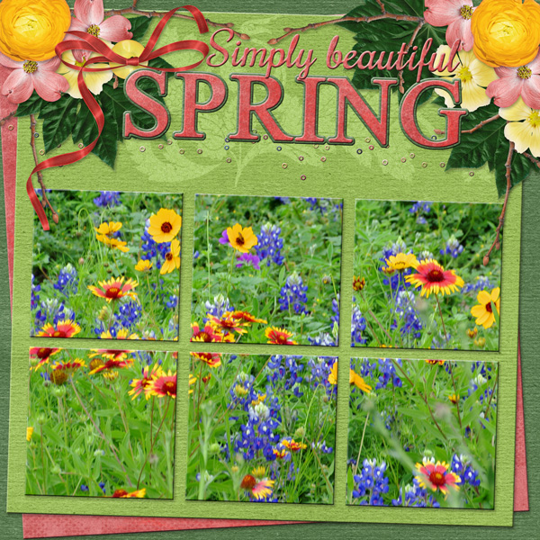 Simply beautiful SPRING