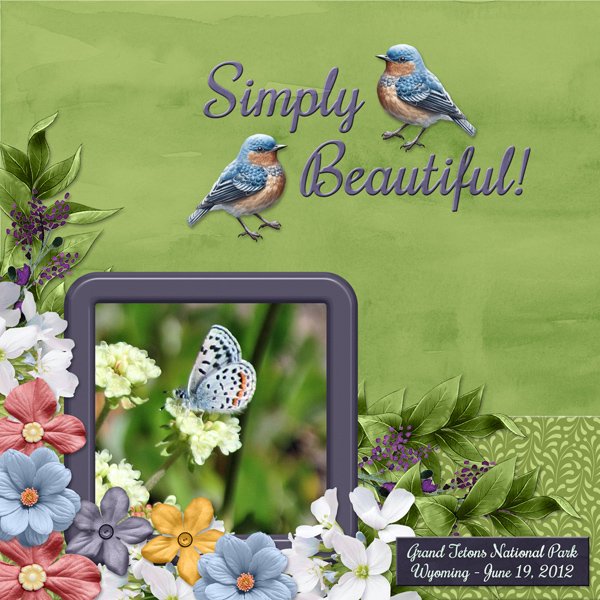 Simply Beautiful