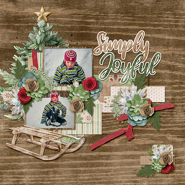 Simply Sleighing