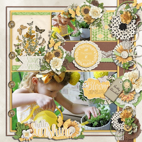 Simply spring