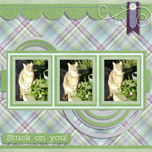 Simply Succulent