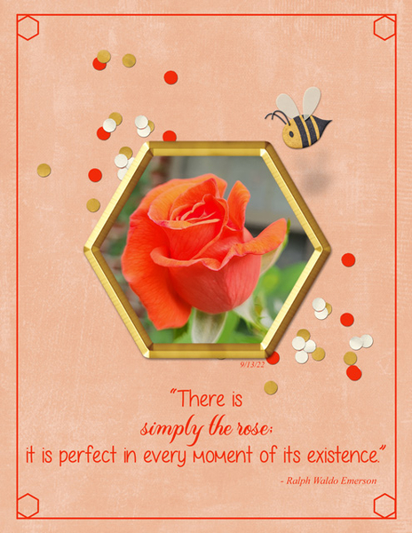 Simply the Rose