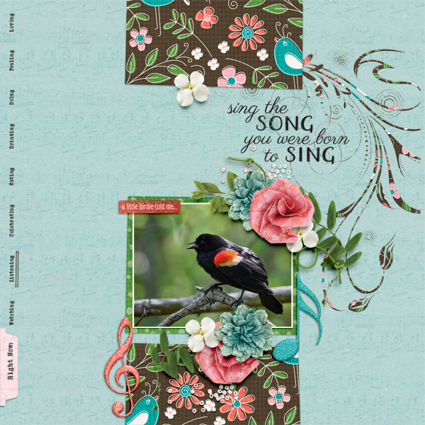 Sing Your Song