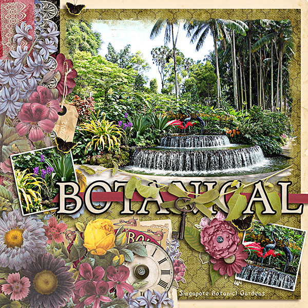 Singapore Botanical Gardens