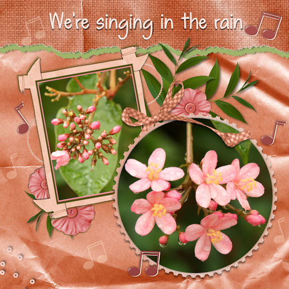 Singing in the rain