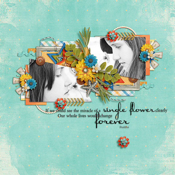 single flower