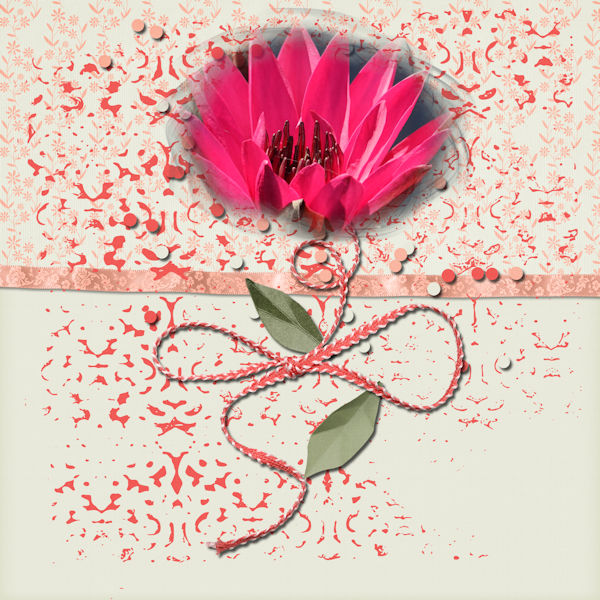 Single Flower