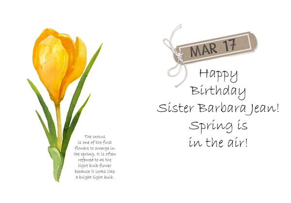 SisterBJ Birthday Card