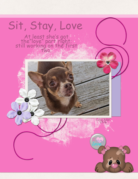 Sit, Stay, Love