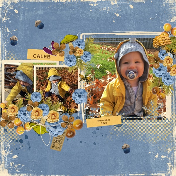 Sitting in Leaves