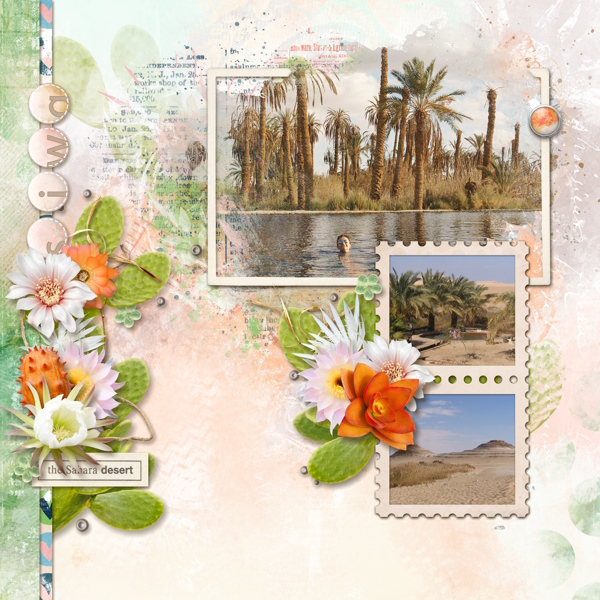 Siwa