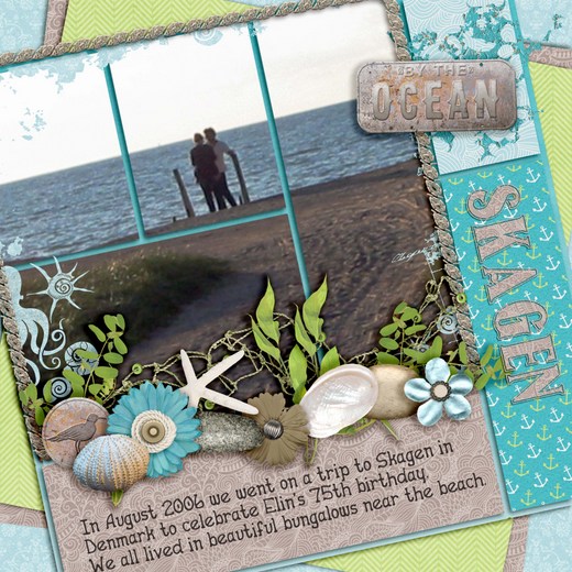 Skagen1