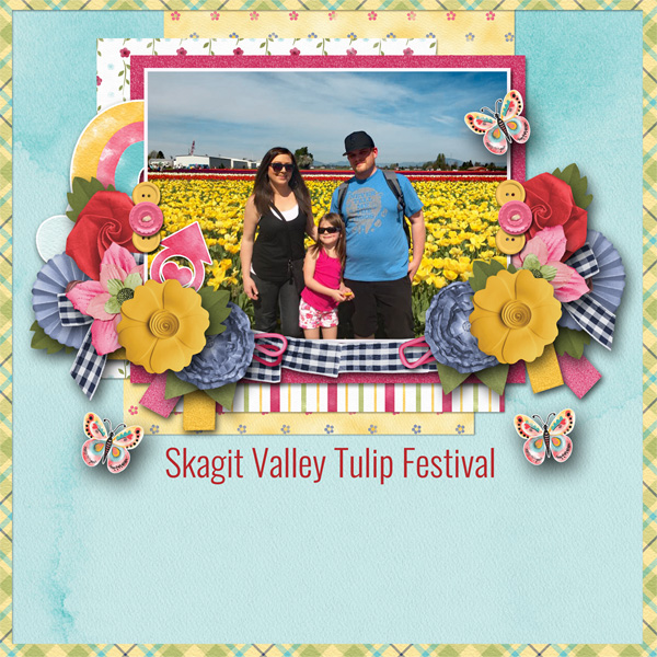 Skagit Valley